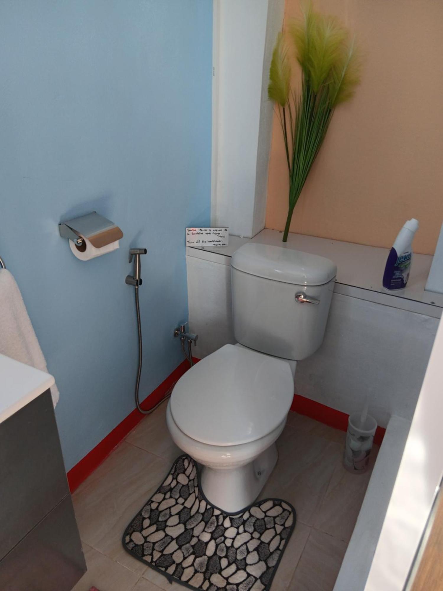 Residence Des Cascades Surinam Экстерьер фото